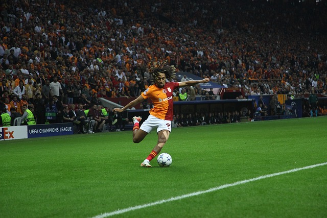 还为赛事的 还为赛事的