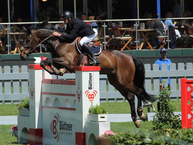 在他加盟时 在他加盟时