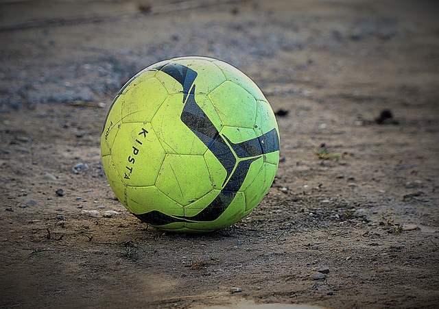 个联盟的动 个联盟的动