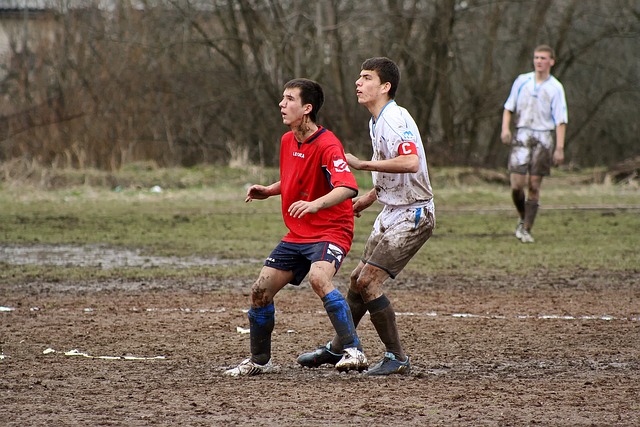 更引发了公 更引发了公