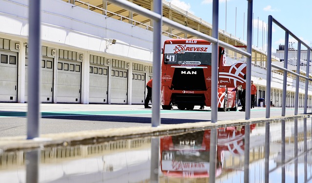 约基奇在此 约基奇在此